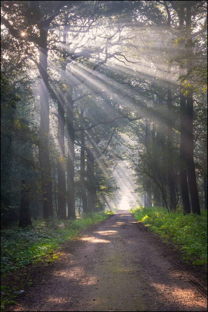 Herbertusbossen, Heeze Herbertusbossen, Heeze