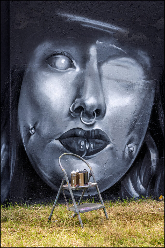 Graffiti Festival “Step in the Arena 2024” Berenkuil, Eindhoven