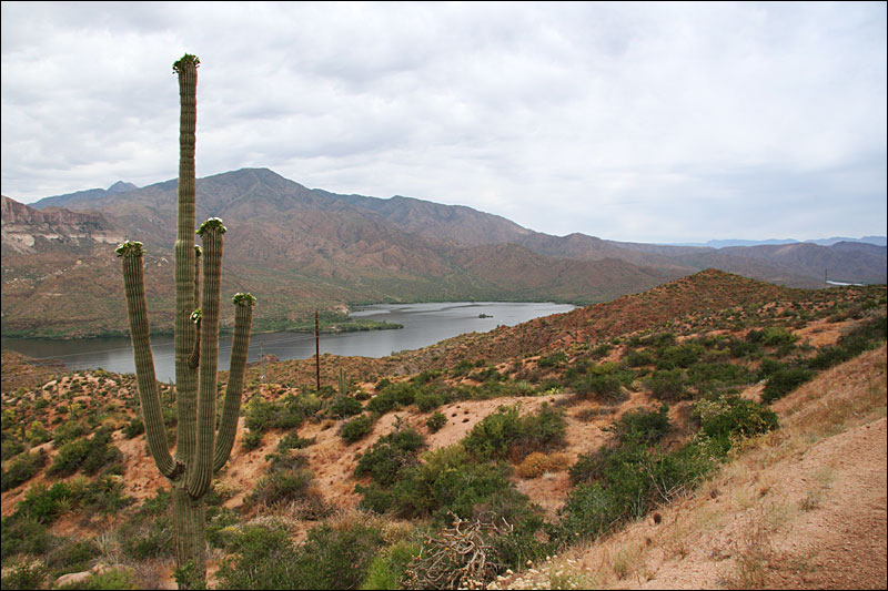 Apache Trail