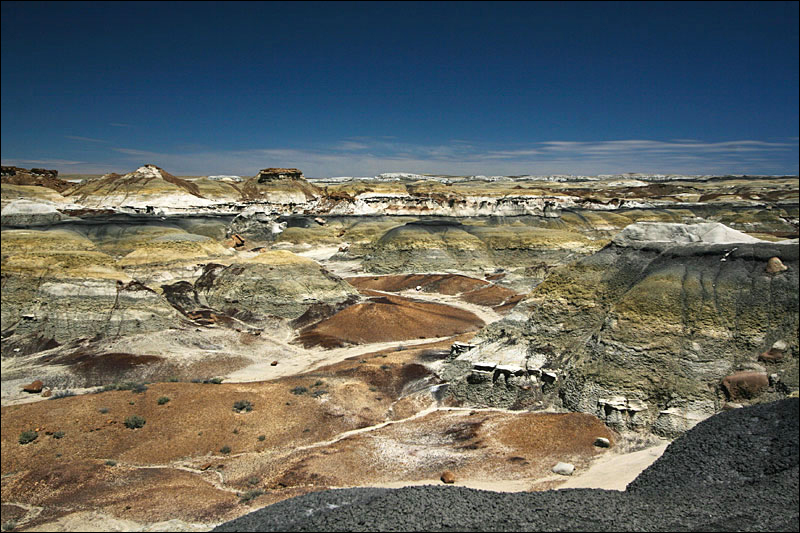 Bisti Badlands