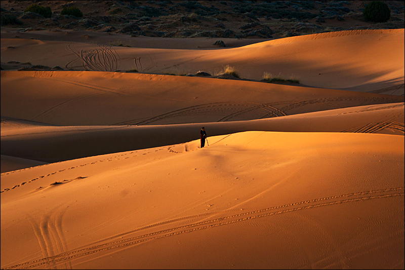 Coral Pink Sand Dunes