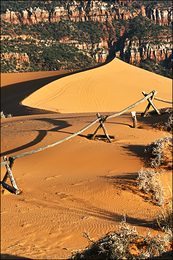 Coral Pink Sand Dunes