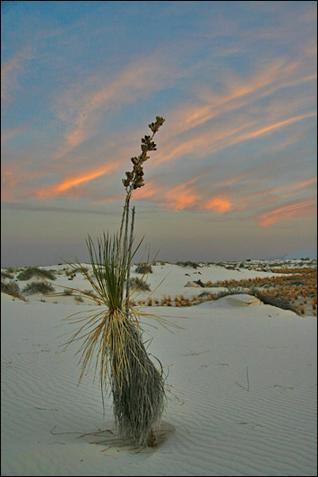 White Sands NM