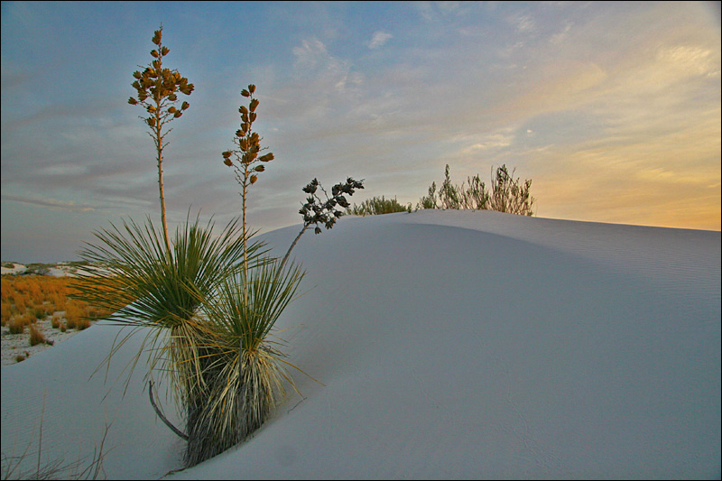 White Sands NM