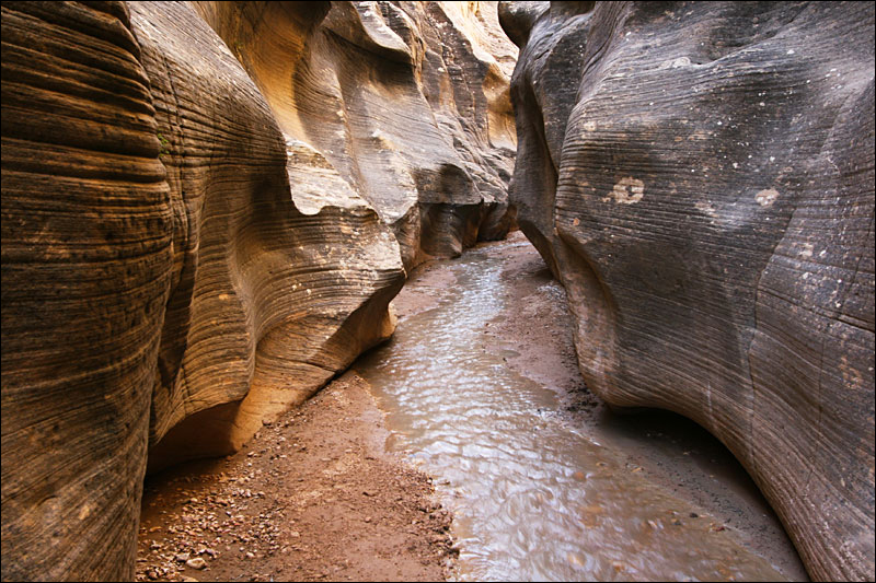 Willis Creek