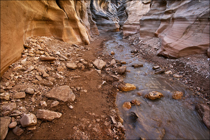 Willis Creek