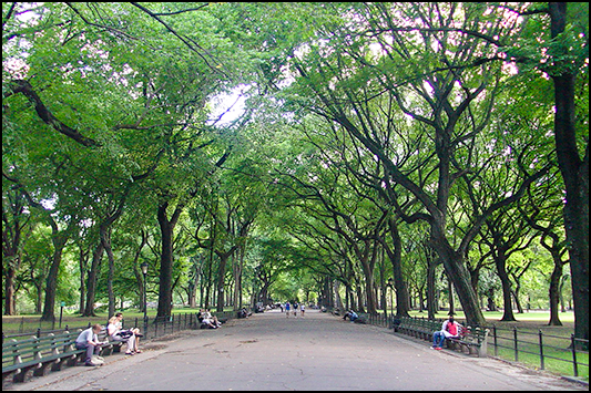 Central Park