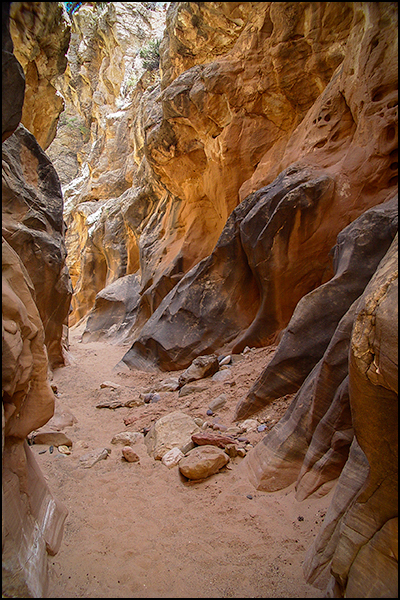 Cottonwood Canyon Narrows