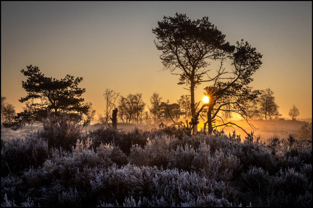 Kalmthoutseheide Kalmthoutseheide