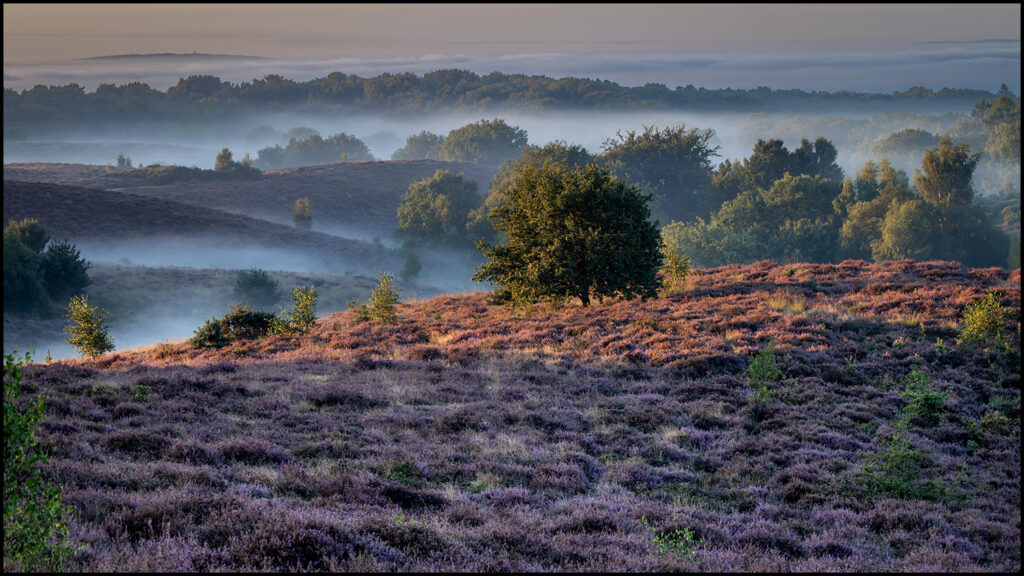 Zonsopkomst, Postbank, Rhenen