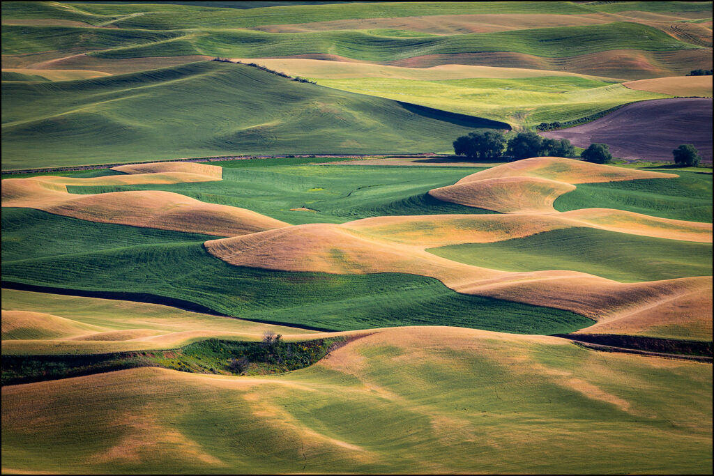 Sunset, Steptoe Butte State Park, Washington