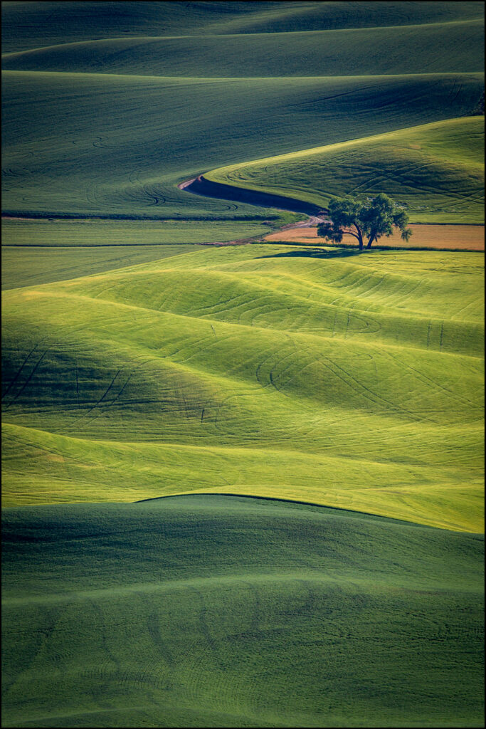 Sunset, Steptoe Butte State Park, Washington Sunset, Steptoe Butte State Park, Washington