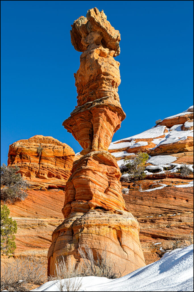 Chess Queen in Coyote Butte South, Utah Chess Queen in Coyote Butte South, Utah
