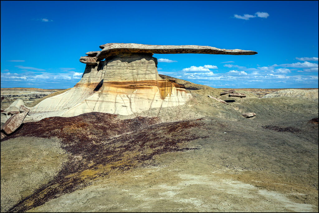 King of Wings, San Juan Basin, New Mexico King of Wings, San Juan Basin, New Mexico